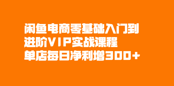 （2082期）闲鱼电商零基础入门到进阶VIP实战课程，单店每日净利增300+-iTZL项目网