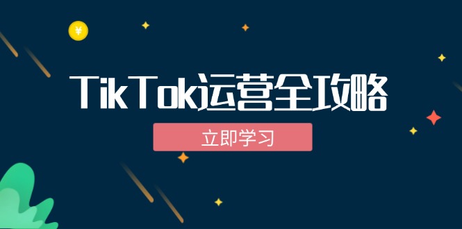 （12739期）TikTok实战运营全攻略：从下载软件到变现，抖音海外版实操教程-iTZL项目网