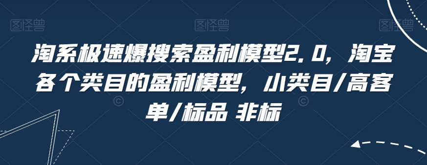 淘系极速爆搜索盈利模型2.0，淘宝各个类目的盈利模型，小类目/高客单/标品 非标-iTZL项目网