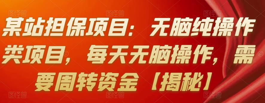 某站担保项目：无脑纯操作类项目，每天无脑操作，需要周转资金【揭秘】-iTZL项目网