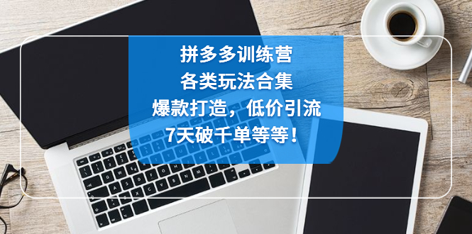 （4693期）拼多多训练营：各玩法合集，爆款打造，低价引流，7天破千单等等！-iTZL项目网