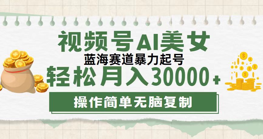 （12087期）视频号AI美女跳舞，轻松月入30000+，蓝海赛道，流量池巨大，起号猛，无…-iTZL项目网