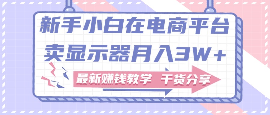 （11053期）新手小白如何做到在电商平台卖显示器月入3W+，最新赚钱教学干货分享-iTZL项目网