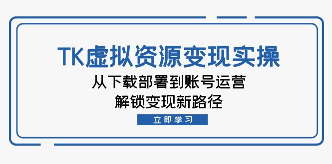 （12770期）TK虚拟资源变现实操：从下载部署到账号运营，解锁变现新路径-iTZL项目网