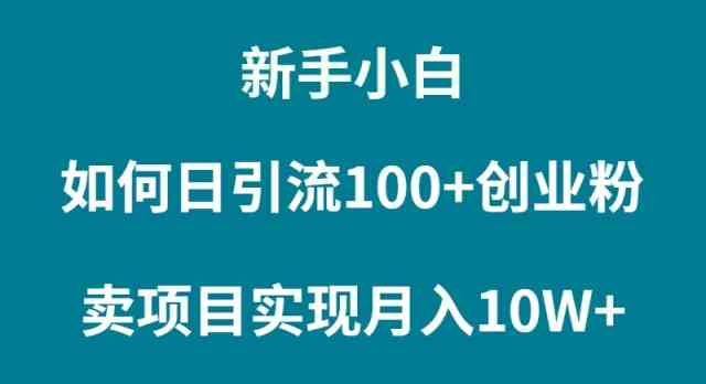 （9556期）新手小白如何通过卖项目实现月入10W+-iTZL项目网