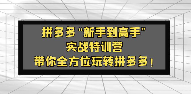 （5173期）拼多多“新手到高手”实战特训营：带你全方位玩转拼多多！-iTZL项目网