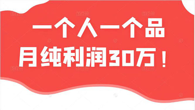 （2343期）某公众号付费文章：一个人一个品月纯利润30万的蓝海电商经典案例！-iTZL项目网