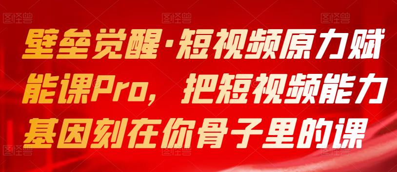 壁垒觉醒·短视频原力赋能课Pro，把短视频能力基因刻在你骨子里的课-iTZL项目网