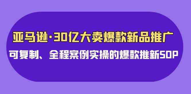 （9944期）亚马逊30亿·大卖爆款新品推广，可复制、全程案例实操的爆款推新SOP-iTZL项目网