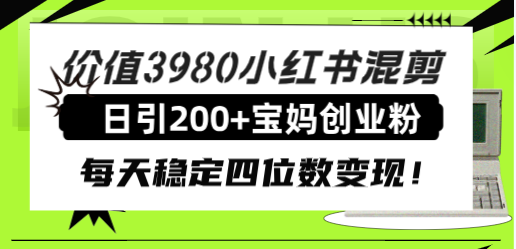 （7893期）价值3980小红书混剪日引200+宝妈创业粉，每天稳定四位数变现！-iTZL项目网