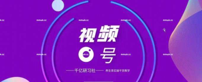 视频号带货实战教程：手把手教你撸养生茶，轻松月入10W+【视频课程】-iTZL项目网