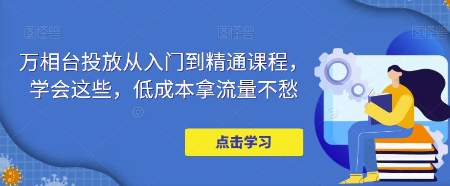 （4920期）万相台投放·新手到精通课程，学会这些，低成本拿流量不愁！-iTZL项目网