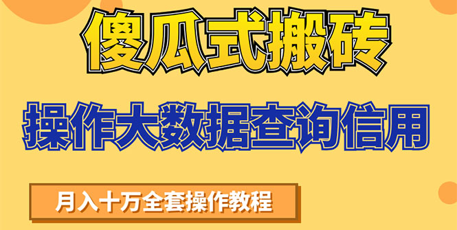 （1538期）傻瓜式搬砖操作大数据查询信用赚钱方法：助你快速月入6万全套操作教程-iTZL项目网