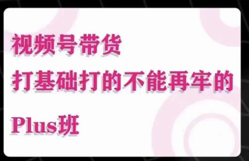 大播汇·视频号带货Puls班，视频号底层逻辑，起号自然流鱼塘等玩法-iTZL项目网