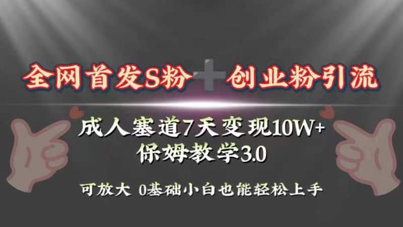 （8337期）全网首发s粉加创业粉引流变现，成人用品赛道7天变现10w+保姆教学3.0-iTZL项目网