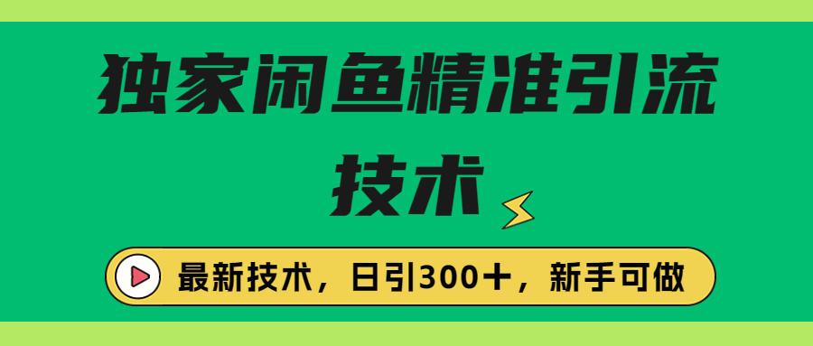 （6635期）独家闲鱼引流技术，日引300＋实战玩法-iTZL项目网