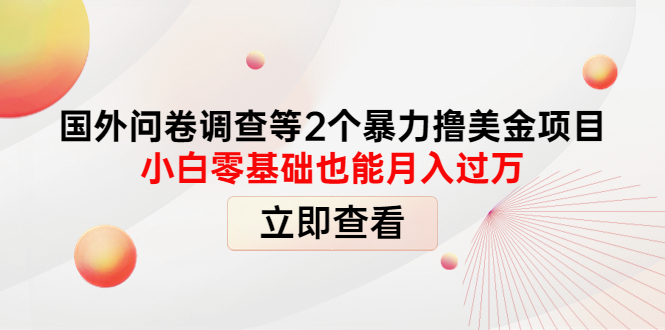 （4062期）国外问卷调查等2个暴力撸美金项目，小白零基础也能月入过万-iTZL项目网