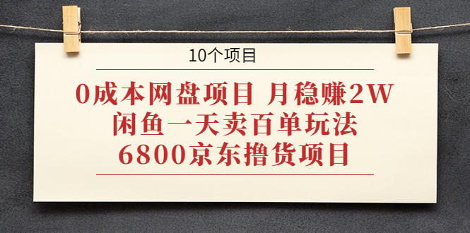 （1928期）0成本网盘项目 月稳赚2W+闲鱼一天卖百单玩法+6800京东撸货项目 (10个项目)-iTZL项目网