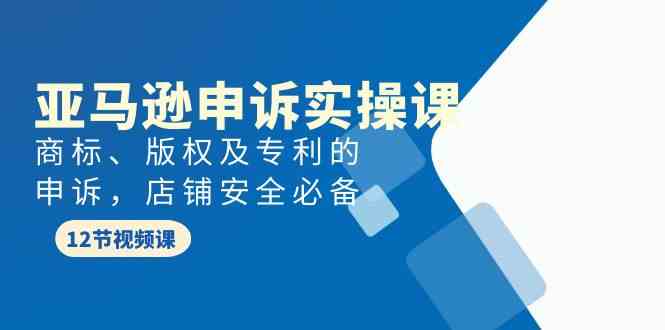 （9754期）亚马逊-申诉实战课，​商标、版权及专利的申诉，店铺安全必备-iTZL项目网