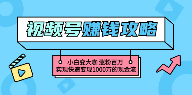 （3020期）玩转微信视频号赚钱：小白变大咖 涨粉百万 实现快速变现1000万的现金流-iTZL项目网