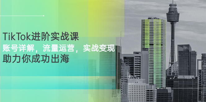 （2749期）TikTok进阶实战课：账号详解，流量运营，实战变现，助力你成功出海-iTZL项目网