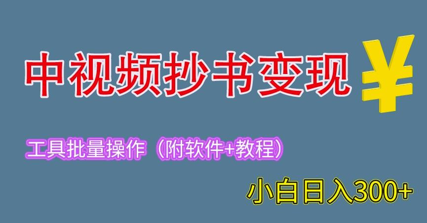 2023中视频抄书变现（附工具+教程），一天300+，特别适合新手操作的副业（揭秘）-iTZL项目网