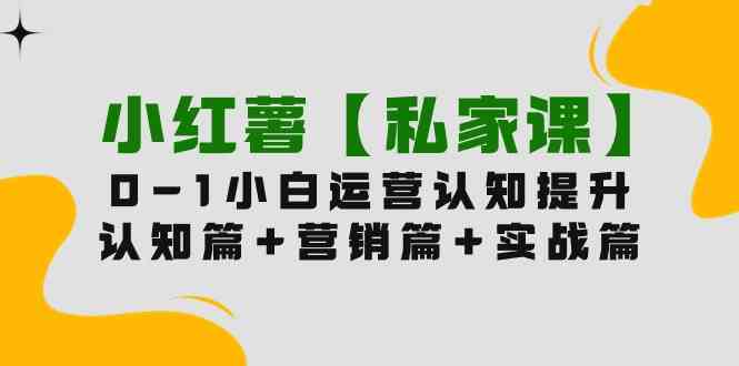 （9910期）小红薯【私家课】0-1玩赚小红书内容营销，认知篇+营销篇+实战篇（11节课）-iTZL项目网