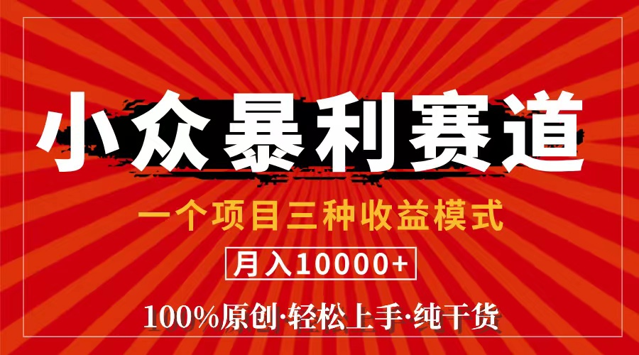 （11695期）视频号【中老年粉深信不疑】小众赛道 100%原创 手把手教学 新号3天收益…-iTZL项目网