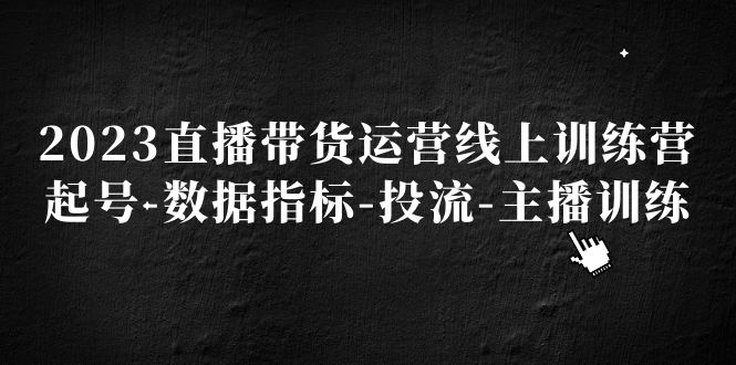 （5122期）2023直播带货运营线上训练营，起号-数据指标-投流-主播训练-iTZL项目网