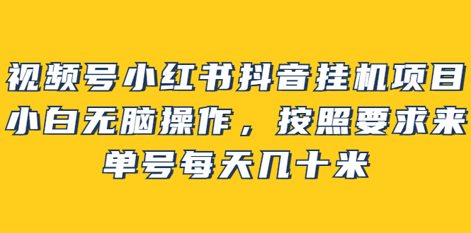 （2437期）视频号小红书抖音挂机项目，小白无脑操作，按照要求来，单号每天几十米-iTZL项目网