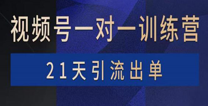 （3678期）视频号训练营：带货，涨粉，直播，游戏，四大变现新方向，21天引流出单-iTZL项目网