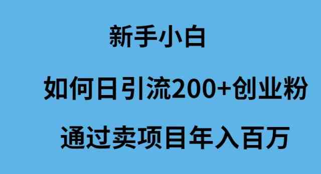 （9668期）新手小白如何日引流200+创业粉通过卖项目年入百万-iTZL项目网