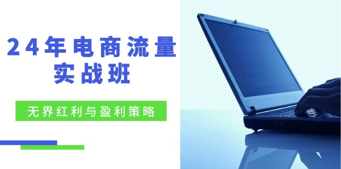 （12168期）24年电商流量实战班：无界 红利与盈利策略，终极提升/关键词优化/精准…-iTZL项目网