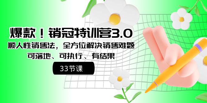 （8573期）爆款！销冠特训营3.0之顺人性销售法，全方位解决销售难题、可落地、可执…-iTZL项目网