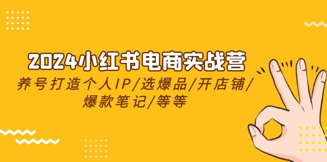 （10375期）2024小红书电商实战营，养号打造IP/选爆品/开店铺/爆款笔记/等等（24节）-iTZL项目网