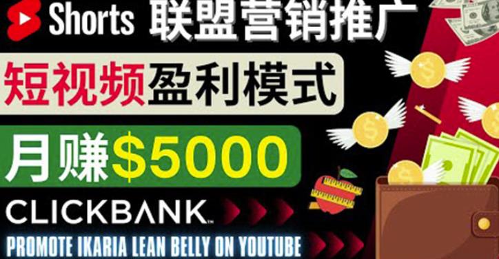 通过Youtube Shorts推广联盟营销商品，月赚5000美元方法和技巧-iTZL项目网