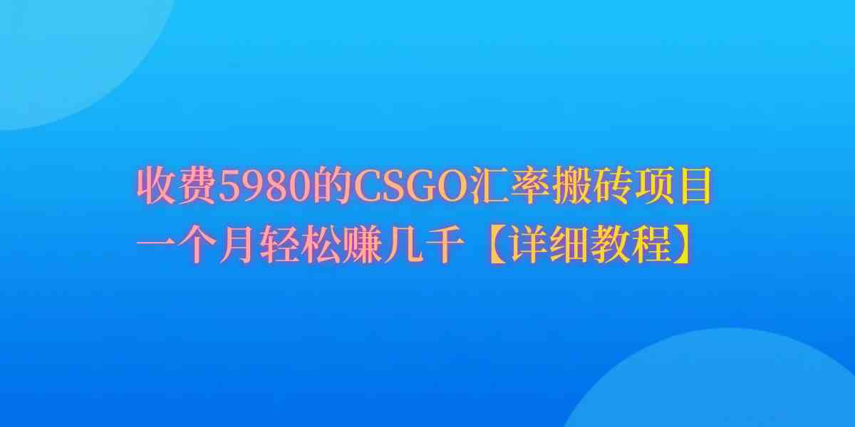 （9776期）CSGO装备搬砖，月综合收益率高达60%，你也可以！-iTZL项目网