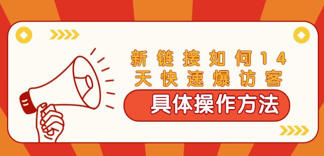 齐论·进阶战术课：拼多多新链接如何14天快速爆访客：具体操作方法（视频教程）-iTZL项目网