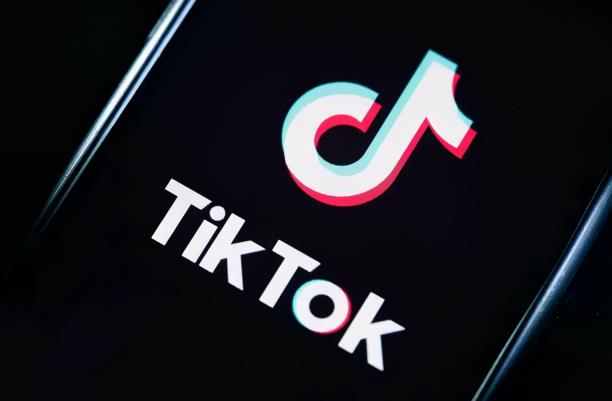 龟课·TikTok变现实战训练营线上第4期，0基础教你搬运视频，获得热门赚美金！-iTZL项目网