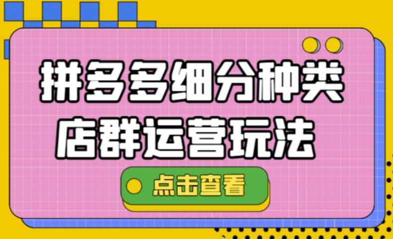 （4373期）拼多多细分种类店群运营玩法3.0，11月最新玩法，小白也可以操作-iTZL项目网