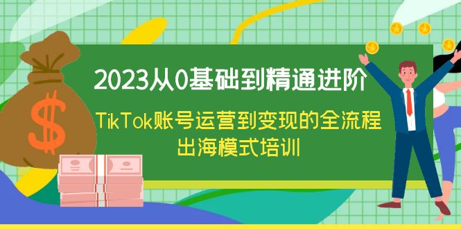 （6299期）2023从0基础到精通进阶，TikTok账号运营到变现的全流程出海模式培训-iTZL项目网