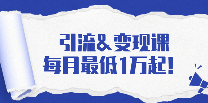 （1721期）引流&变现课：分享一整套流量方法以及各个渠道收入，每月最低1万起！-iTZL项目网