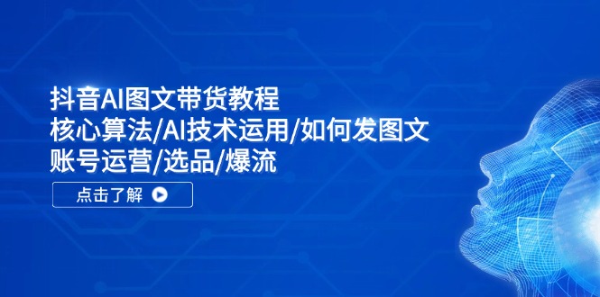 （11958期）抖音AI图文带货教程：核心算法/AI技术运用/如何发图文/账号运营/选品/爆流-iTZL项目网