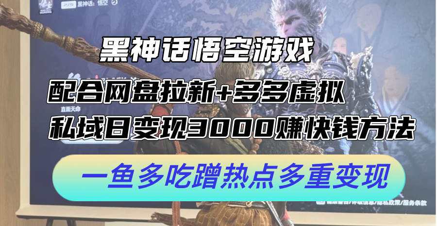 （12316期）黑神话悟空游戏配合网盘拉新+多多虚拟+私域日变现3000+赚快钱方法。…-iTZL项目网