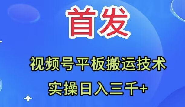 （7843期）全网首发：视频号平板搬运技术，实操日入三千＋-iTZL项目网