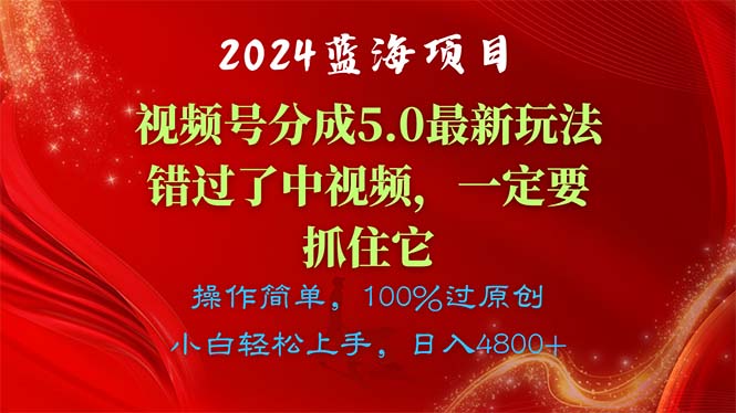 （11032期）2024蓝海项目，视频号分成计划5.0最新玩法，错过了中视频，一定要抓住…-iTZL项目网