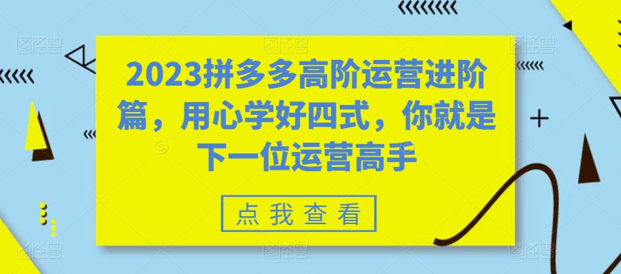 （6193期）2023拼多多高阶运营进阶篇，用心学好四式，你就是下一位运营高手-iTZL项目网