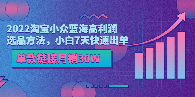 （3208期）2022淘宝小众蓝海高利润选品方法，小白7天快速出单，单款链接月销30W-iTZL项目网