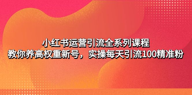 （4950期）小红书运营引流全系列课程：教你养高权重新号，实操每天引流100精准粉-iTZL项目网