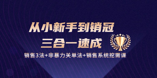 （10799期）从小新手到销冠 三合一速成：销售3法+非暴力关单法+销售系统挖需课 (27节)-iTZL项目网